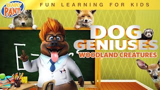 Dog Geniuses: Woodland Creatures előzetes