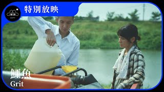 鱷魚 előzetes