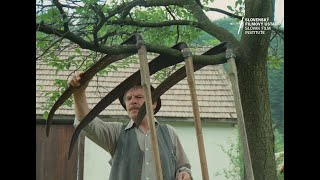 Kosenie Jastrabej lúky előzetes