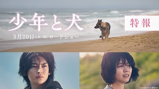 少年と犬 előzetes