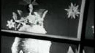 Suzy Snowflake előzetes