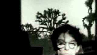 Don Van Vliet: Some YoYo Stuff előzetes