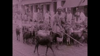 Picturesque India or, In and About Calcutta előzetes