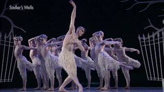 Swan Lake előzetes
