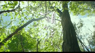 朝が来る előzetes