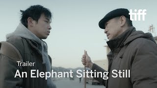 大象席地而坐 előzetes