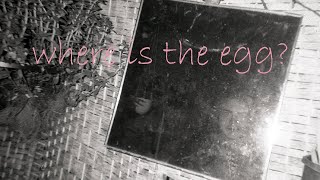 Where is the egg? előzetes