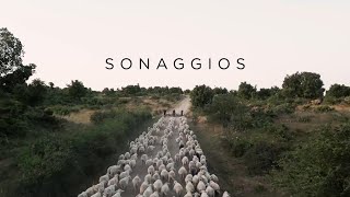 Sonaggios előzetes