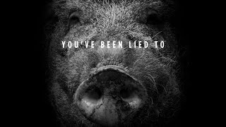 Hogwood: A Modern Horror Story előzetes