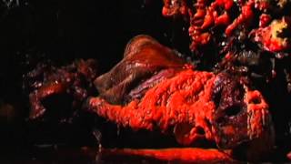 Cryptic Plasm előzetes