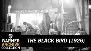 The Blackbird előzetes