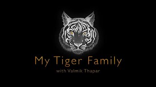 My Tiger Family előzetes