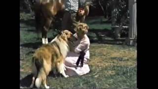Lad: A Dog előzetes