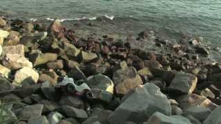 漁民與海 előzetes