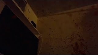 The Tribe Murders előzetes