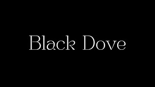 Black Dove előzetes