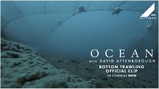 David Attenborough: Az óceán csodája előzetes