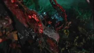 Blood Pigs előzetes
