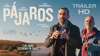 Pájaros előzetes