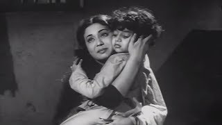 Sahara előzetes