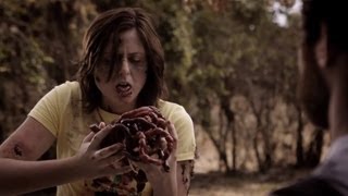 Summer of the Zombies előzetes
