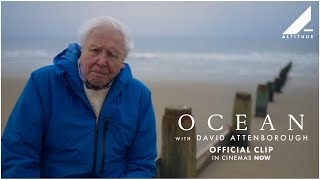 David Attenborough: Az óceán csodája előzetes