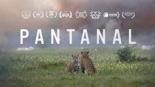 Pantanal előzetes