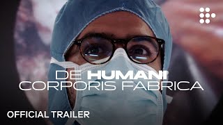 De humani corporis fabrica előzetes