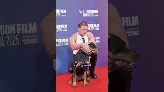 A szerelem fáj előzetes