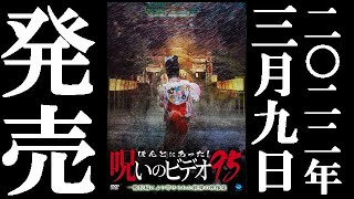 ほんとにあった！呪いのビデオ95 előzetes