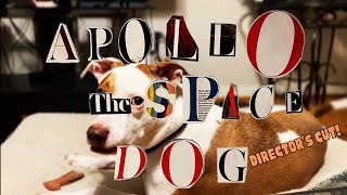 Apollo: The Space Dog előzetes
