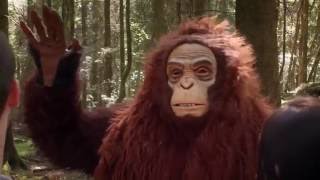 Sasquatch előzetes