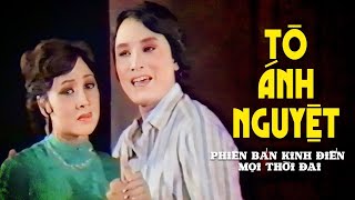Tô Ánh Nguyệt előzetes