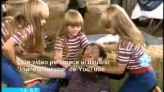 Un elefante color ilusión előzetes