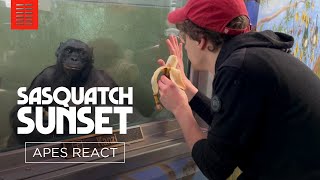 Sasquatch Sunset előzetes