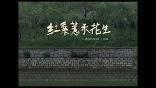 紅棗薏米花生 előzetes