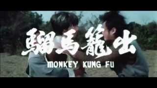 Majom Kung Fu előzetes
