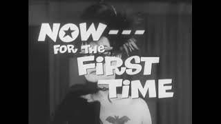 The Wild World of Batwoman előzetes