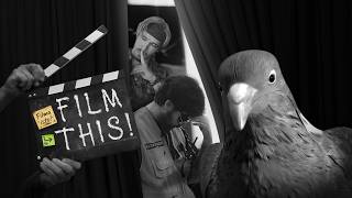Filma isto! előzetes