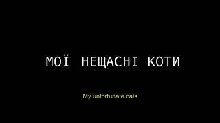 Мої нещасні коти előzetes