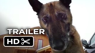 Step Dogs előzetes