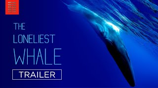 The Loneliest Whale: The Search for 52 előzetes