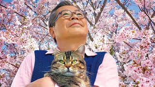ねことじいちゃん előzetes