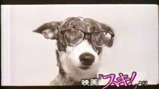 君は僕をスキになる előzetes
