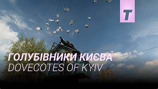 Голубівники Києва előzetes