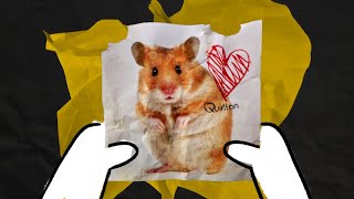 A hamster named Quinton előzetes