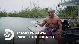 Tyson vs. Jaws: Rumble on the Reef előzetes