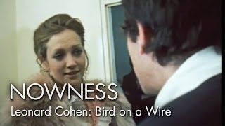 Leonard Cohen: Bird on a Wire előzetes