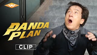 Panda projekt előzetes