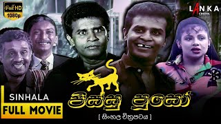පිස්සු පූසෝ előzetes